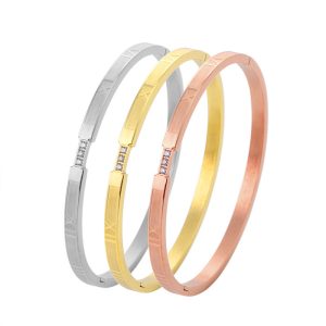 6mm Stainless Steel Crystal Rome Digitals Hinged Bracelet